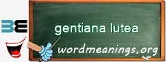 WordMeaning blackboard for gentiana lutea